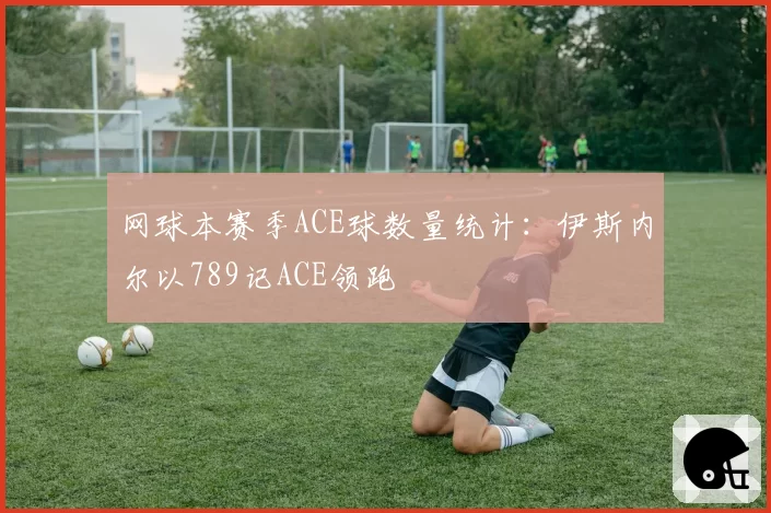 网球本赛季ACE球数量统计：伊斯内尔以789记ACE领跑