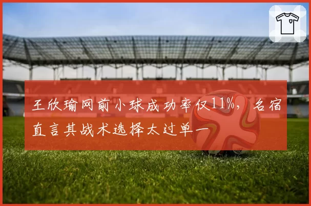 王欣瑜网前小球成功率仅11%，名宿直言其战术选择太过单一