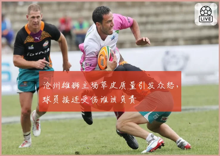 沧州雄狮主场草皮质量引发众怒，球员接连受伤谁该负责