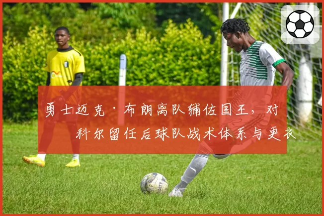 勇士迈克·布朗离队辅佐国王，对比科尔留任后球队战术体系与更衣室氛围变化