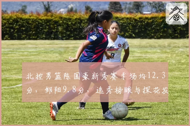 北控男篮陈国豪新秀赛季场均12.3分，邹阳9.8分，选秀榜眼与探花发展对比