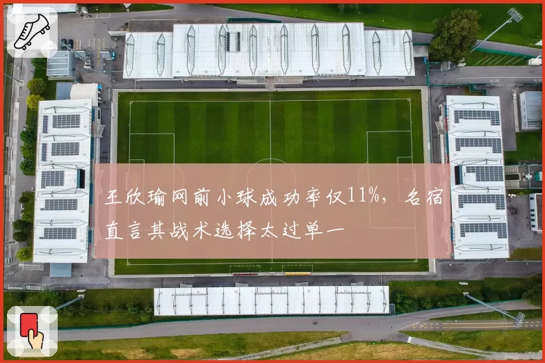 王欣瑜网前小球成功率仅11%，名宿直言其战术选择太过单一