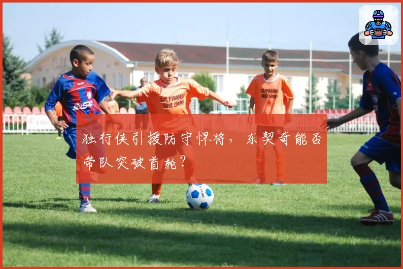 独行侠引援防守悍将，东契奇能否带队突破首轮？