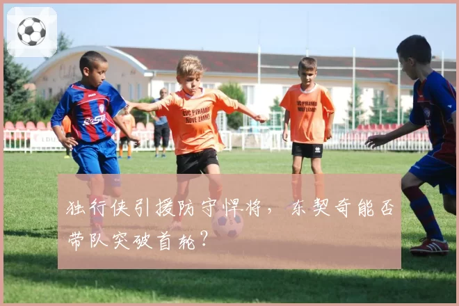 独行侠引援防守悍将，东契奇能否带队突破首轮？