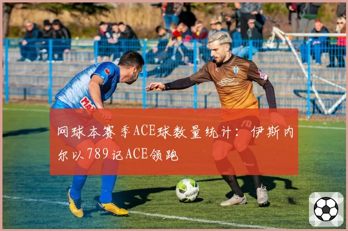 网球本赛季ACE球数量统计：伊斯内尔以789记ACE领跑